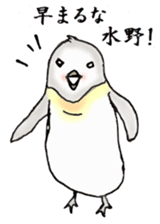 The Sticker sent to Mizuno sticker #8131184