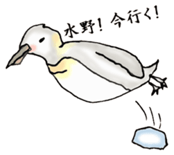 The Sticker sent to Mizuno sticker #8131185