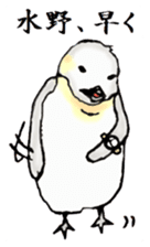 The Sticker sent to Mizuno sticker #8131192