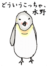 The Sticker sent to Mizuno sticker #8131196