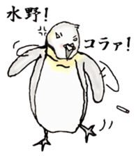 The Sticker sent to Mizuno sticker #8131200