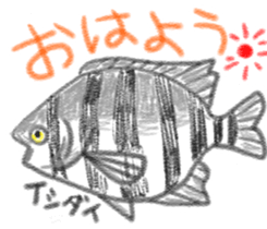 Various fish sticker #8132564