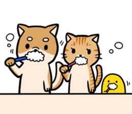 An owner of a dog is a cat sticker #8133447