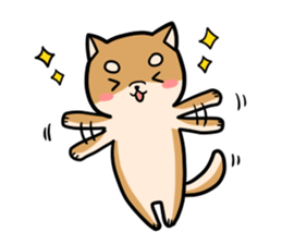 An owner of a dog is a cat sticker #8133461