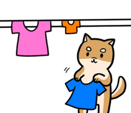 An owner of a dog is a cat sticker #8133465