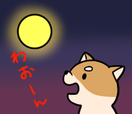 An owner of a dog is a cat sticker #8133467