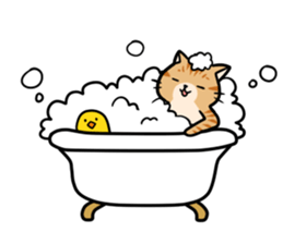 An owner of a dog is a cat sticker #8133477