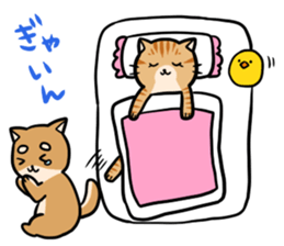 An owner of a dog is a cat sticker #8133482