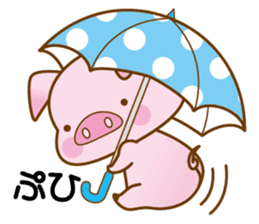 An Umbrella Pig sticker #8136852