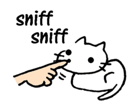 cat lover's stickers in English sticker #8137175