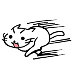 cat lover's stickers in English sticker #8137189