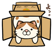 The escape game from room of cat sticker #8138044