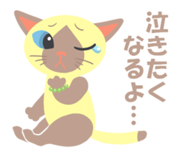 Spice cats sticker #8138362