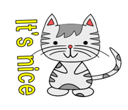 The cat which is pretty in place of you sticker #8139012