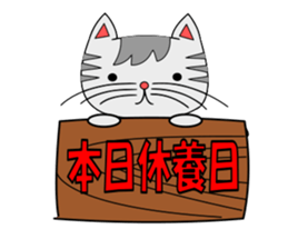 The cat which is pretty in place of you sticker #8139014