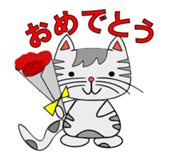 The cat which is pretty in place of you sticker #8139016