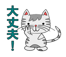 The cat which is pretty in place of you sticker #8139017