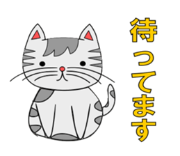 The cat which is pretty in place of you sticker #8139021