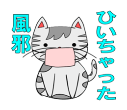 The cat which is pretty in place of you sticker #8139026