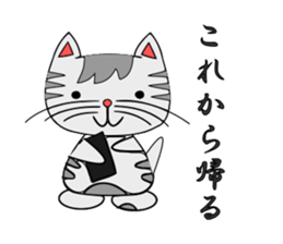 The cat which is pretty in place of you sticker #8139029