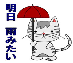 The cat which is pretty in place of you sticker #8139032
