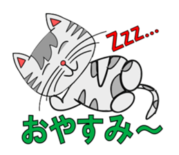 The cat which is pretty in place of you sticker #8139034
