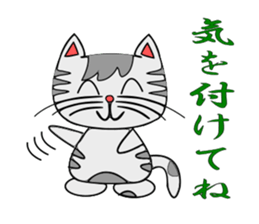 The cat which is pretty in place of you sticker #8139035
