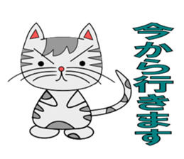 The cat which is pretty in place of you sticker #8139042