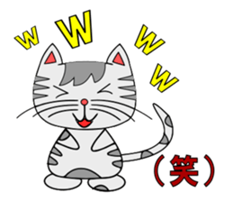 The cat which is pretty in place of you sticker #8139045