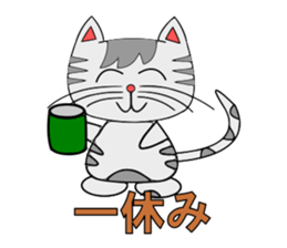 The cat which is pretty in place of you sticker #8139049