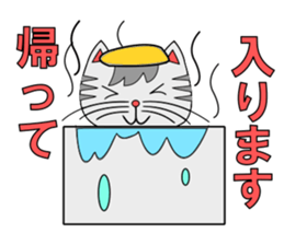 The cat which is pretty in place of you sticker #8139051