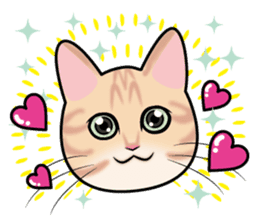 Happy orange kitten boy sticker #8139726