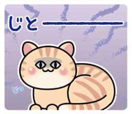 Happy orange kitten boy sticker #8139746