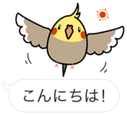 Message Cockatiel. sticker #8144430