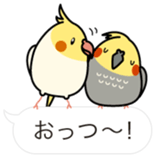 Message Cockatiel. sticker #8144432