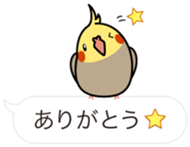 Message Cockatiel. sticker #8144433
