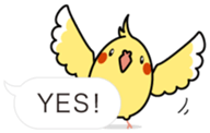 Message Cockatiel. sticker #8144436