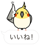 Message Cockatiel. sticker #8144438