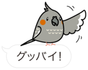 Message Cockatiel. sticker #8144439