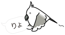 Message Cockatiel. sticker #8144440