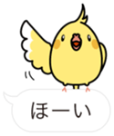 Message Cockatiel. sticker #8144442