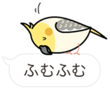 Message Cockatiel. sticker #8144444