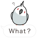 Message Cockatiel. sticker #8144446