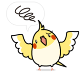 Message Cockatiel. sticker #8144453