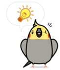 Message Cockatiel. sticker #8144454
