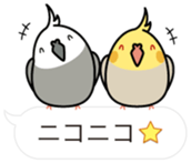 Message Cockatiel. sticker #8144455