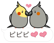 Message Cockatiel. sticker #8144458