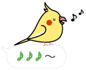 Message Cockatiel. sticker #8144460