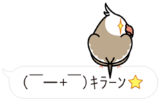 Message Cockatiel. sticker #8144461
