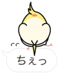 Message Cockatiel. sticker #8144462
